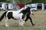 WJ6_6521