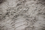 SBM_008464