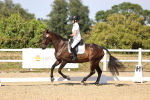 SBM_006664