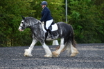 WJ5_9107