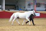 SBM_16679