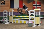 equiscot 8008 equiscot LIAM MCGURNAGHAN TARA V