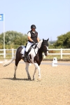 SBM_009231