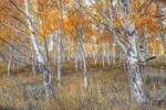 US_2022_075