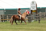 SBM_05377