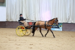 SBM_001055