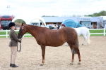 SBM_05916