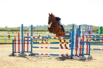 SBM_001663