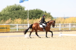 SBM_005073