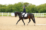SBM_005062