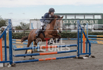 North Showjumping_2016-30