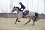SBM_001876