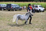 WJ6_7082