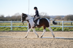 SBM_004401