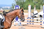 British Novice and 90cm portfolio