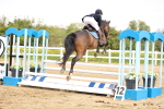 SBM_002435
