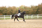 SBM_001930