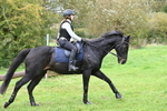 WJ6_6103