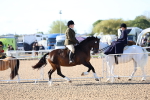 SBM_08761
