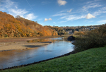 Autumn at on the West Looe River and Trenant Woods