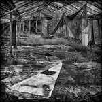 GLASS HOUSE 1