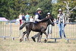 WJ6_4452
