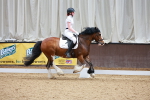 SBM_008506