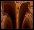 Caverns of Wood