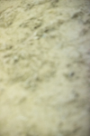 SBM_008855