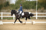 SBM_001241