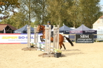 SBM_49417