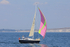 180707 TUDOR ROSE GBR1380R 1Y3A0223_Edit