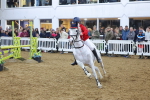 SBM_004608