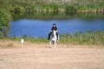 WJ6_6956