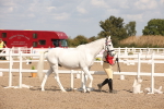 SBM_03383