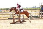 SBM_003892