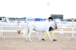 SBM_04991