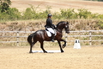 SBM_003442