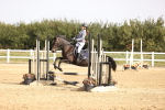 SBM_001211