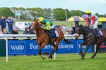 120526-Race 5-Coolree-8773