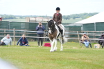 SBM_17232