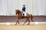 SBM_001011