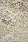 230708A-124632-01407