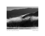 Pine Trees in Fog Killary Harbour 1