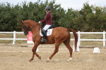 SBM_011937
