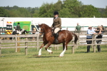SBM_09582