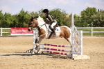 SBM_000392