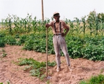 Mr Lowe, Mississippi, 1994