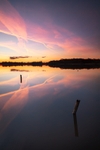 posts-and-vapour