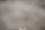 240611A-163626-00252
